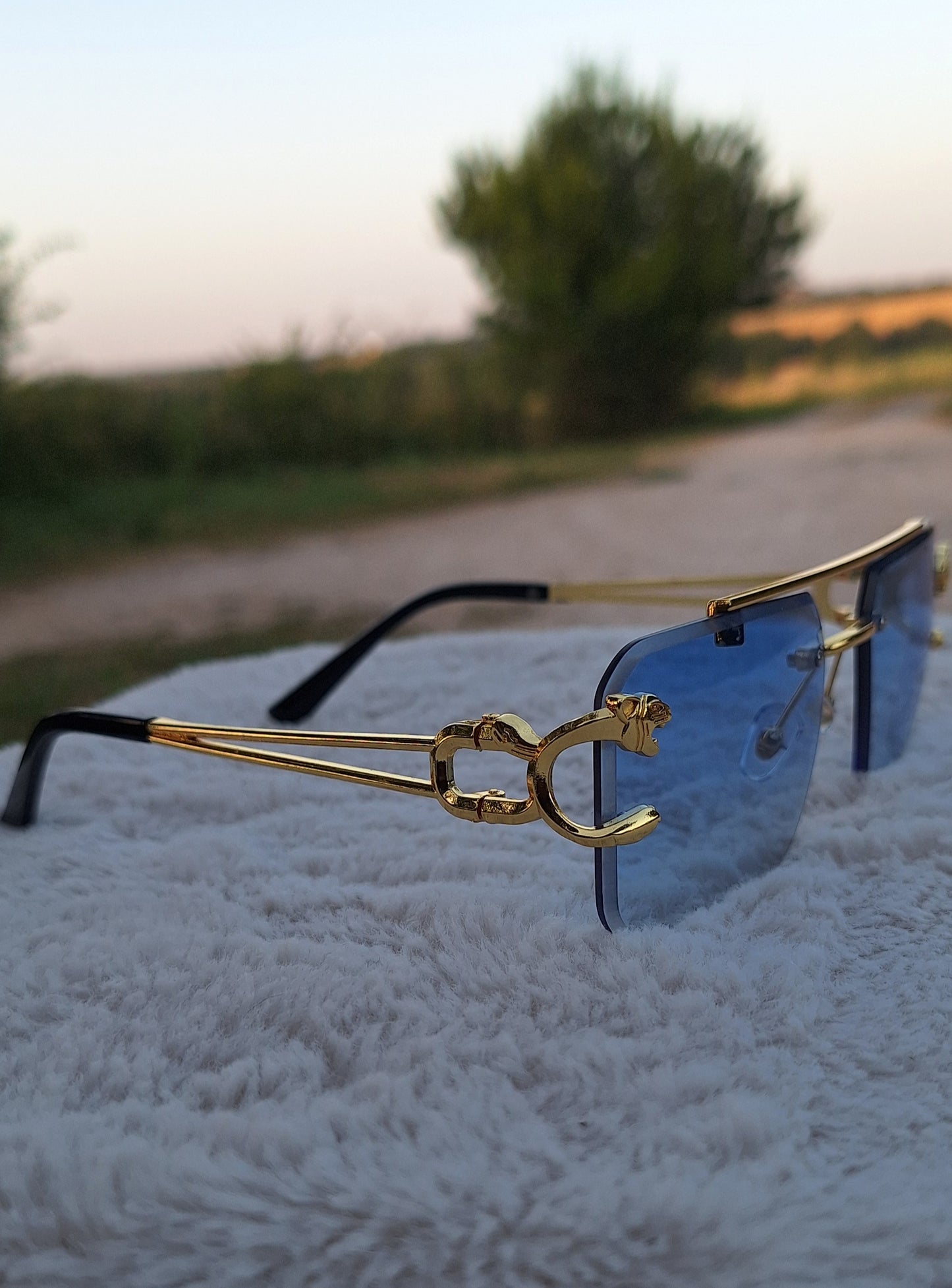 Lunette Feline✨️