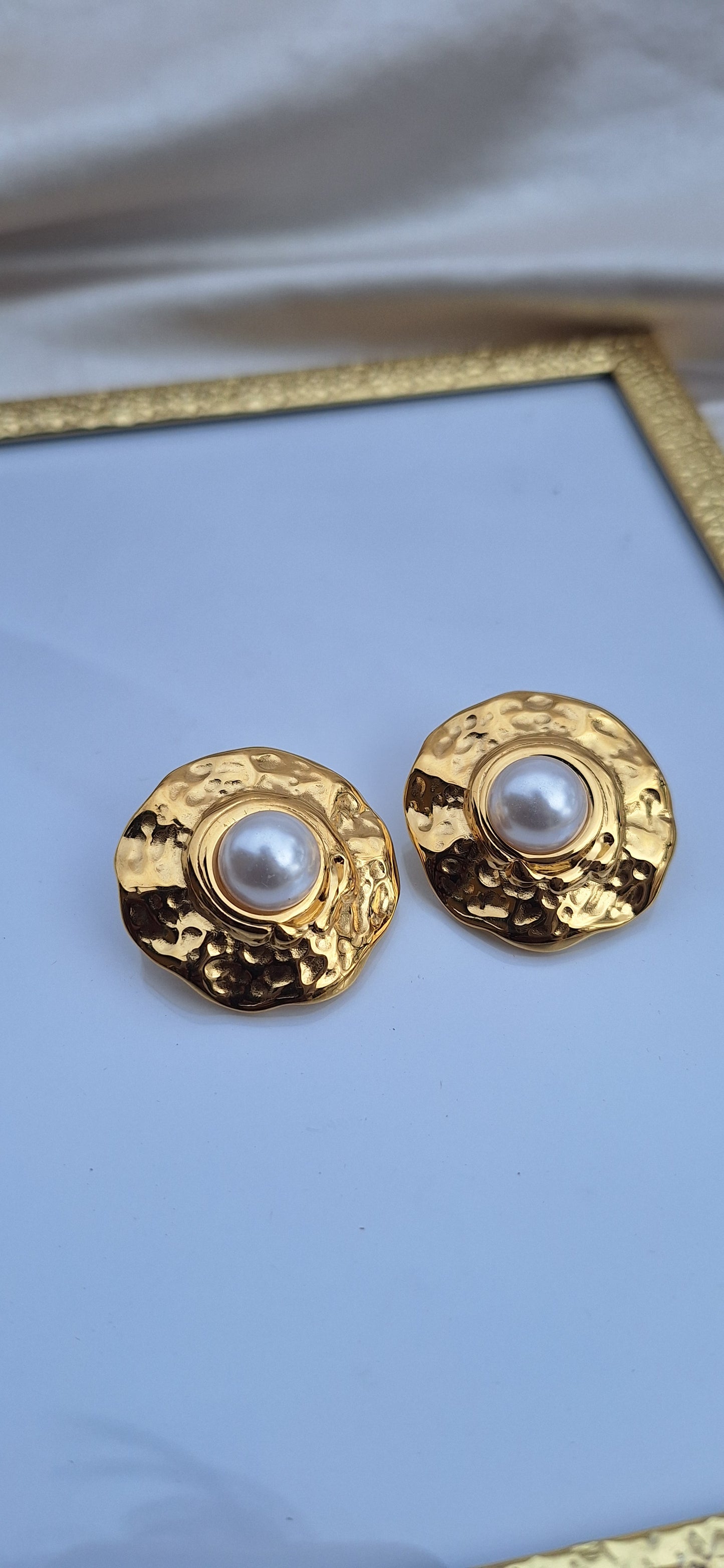 Boucles d'oreilles Ara ✨️