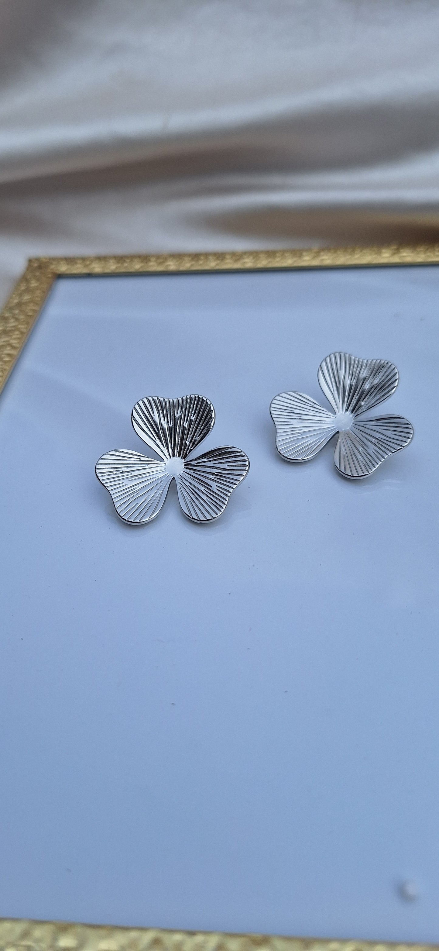Boucles d'oreilles Louiza✨️