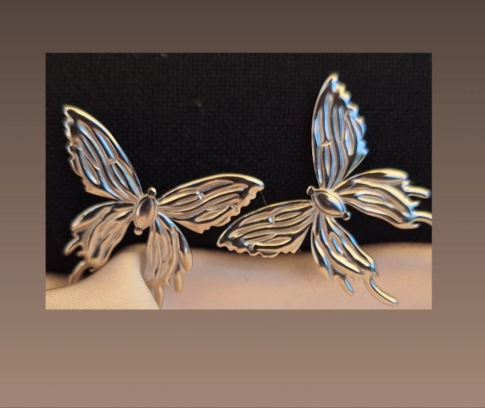 Boucles d'oreilles papillus ✨️