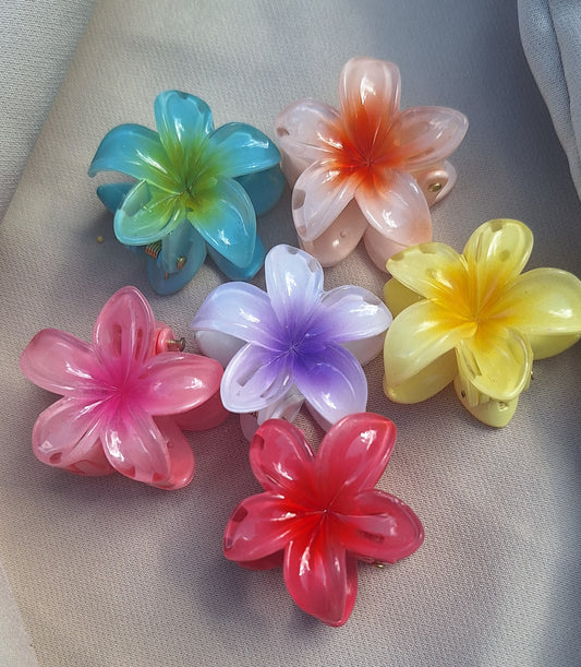 Petites pinces Aloha✨️