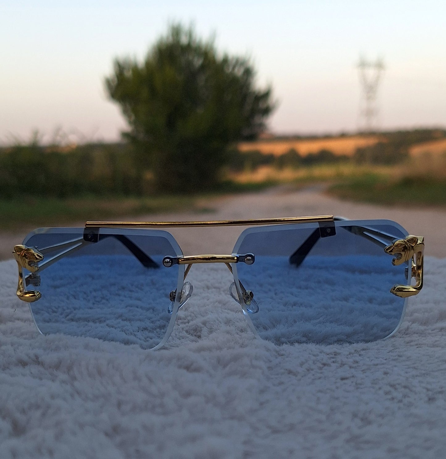 Lunette Feline✨️