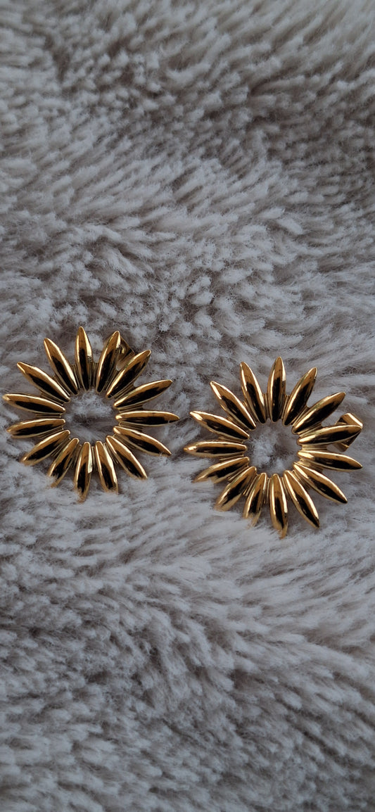 Boucles d'oreilles Shauna ✨️