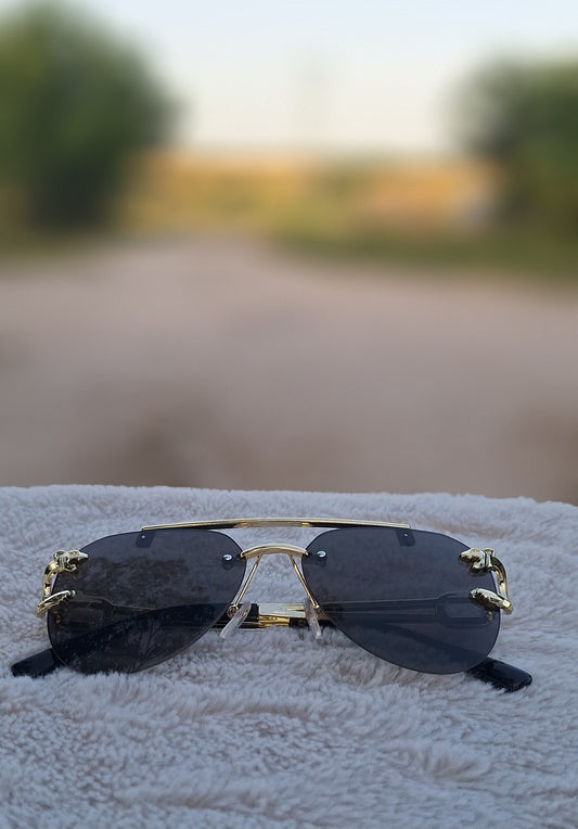 Lunette Tiger✨️