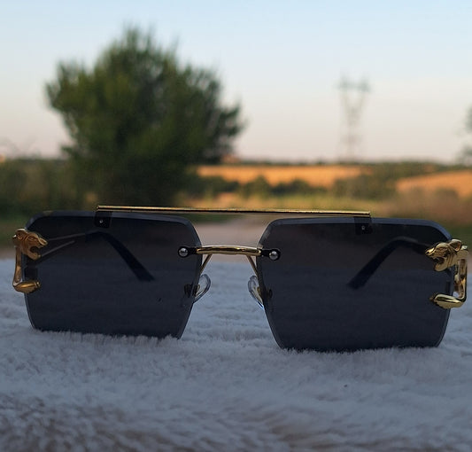 Lunette Feline✨️