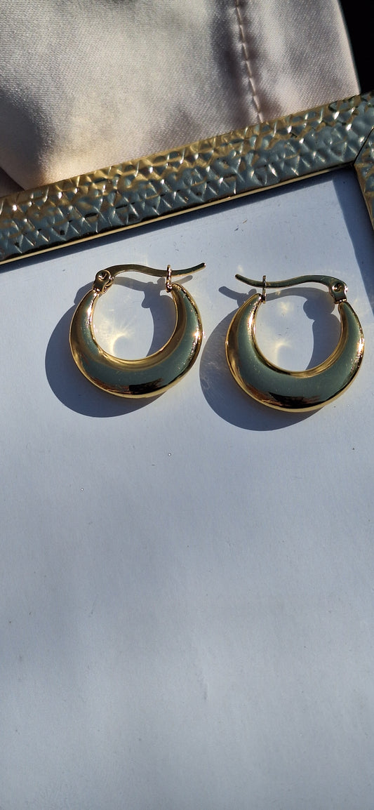 Boucles d'oreilles Rana✨️- Acier inoxydable